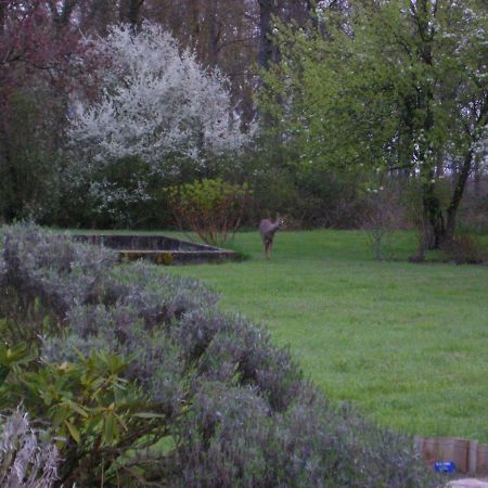 فندق Les Sapins Vitry-aux-Loges المظهر الخارجي الصورة